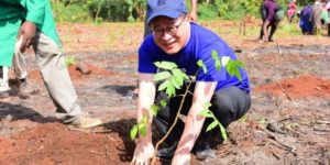 Samsung boosts Kenya’s forest cover with planting more trees at Karura Forest