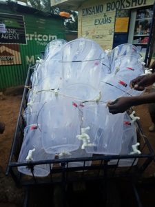 Business: Innovative Kenyan traders have already started deliveries for hand washing packages